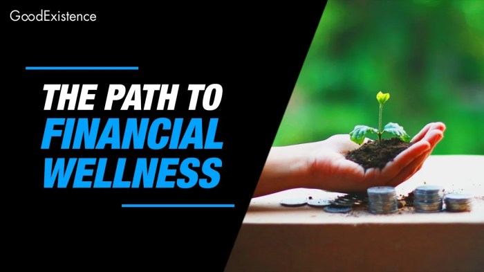 Financial Wellness: Achieving Balance in Money and Life | PDF