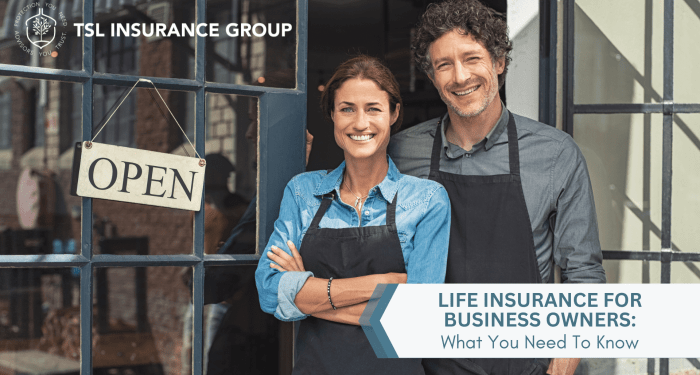 Life Insurance for Business Owners: What You Need to Know - TSL ...